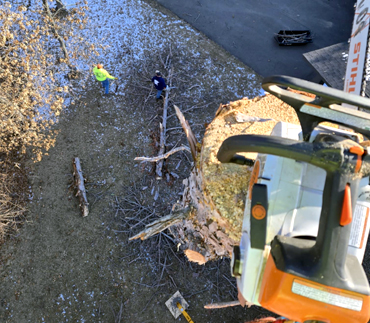 Whits End Tree Care High Risk Tree Trimming