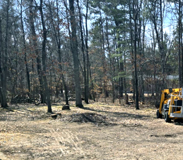 Whits End Tree Care High Risk Tree Trimming