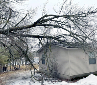 Whits End Tree Care High Risk Tree Trimming