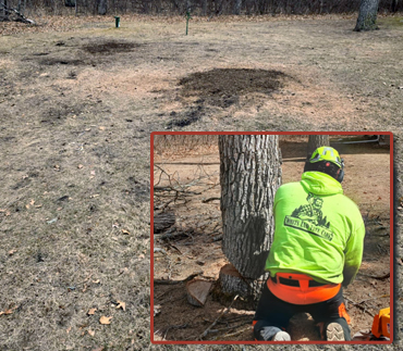 Whits End Tree Care High Risk Tree Trimming