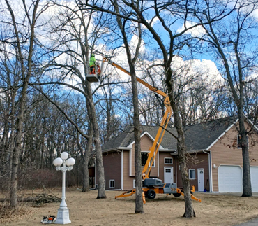 Whits End Tree Care High Risk Tree Trimming