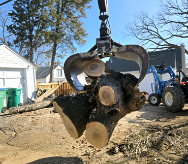Whits End Tree Care High Risk Tree Trimming